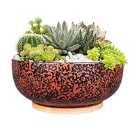 Fivepot Pot de Fleurs juteux en Terre Cuite de 25,5cm avec Drain et Plateau de thé, Grand Pot de Fleurs Rondes intérieur Noir
