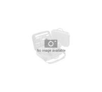 - Fixation de montage en angle pour rail - pour PRIMERGY RX1330 M4, RX2520 M5, RX2530 M4, RX2530 M5, RX2540 M4, RX2540 M5, RX4770 M4