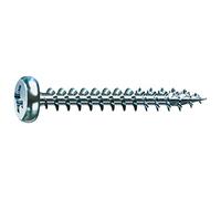 Fixation de ongles | 8 mm x 160 mm | vE : 100 EL Cant | preensamblado | bouchons de Nylon, clou d'acier