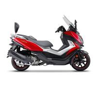 Shad Fixation de dossier Sym Cruisym 125i/300i Noir