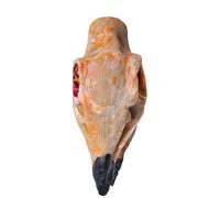 FIXATION DU DERNIER - SIXEUX D'ADULTE, ORNATION HORRI UNAVO EN 3,31x1.34x1,97 pouces | Générateur de bruit avec son effrayant, jouet blague avec des cris forts pour la maison