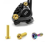 Fixation Étrier Frein Disque pour m6 avec Joint Fixation Étrier | Acier allié pour robuste, tête T30 sécurisée, longueur 22mm, idéal réparation vélo route, installation facile(E-24)