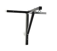 Fixation Murale Lion