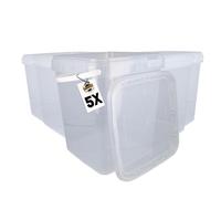 FixedByU Lot de 5 seaux couvercle - 10 l - Transparent - Rectangulaire - En plastique alimentaire - Hermétique et stable - Seau vide poignée et couvercle - aliments, chimie, peinture, peinture,