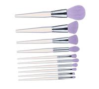 FIXOSHEE 10 pièces Kit Pinceaux Maquillage Professionnel Acrylique Brosses Visage Polyvalentes pour Base Fard Blush Ombre à Paupières Outils Cosmétiques Légers et Portables Couleurs