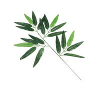 FIXOSHEE 12 Pièces Décoration De Feuille De Bambou Simulée Feuilles Artificielles Guirlande De Verdure Petit Faux Fausse Plante Vert Fausse Verdure Fausses Plantes Décoration Intérieure