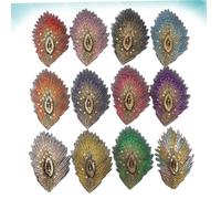 FIXOSHEE 12 pièces Patchs Brodés à Sequins Plumes de Paon Accessoires DIY pour Décoration Vêtements Sacs et Artisanat Motifs Thermocollants Multicolores