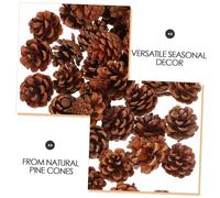 FIXOSHEE 130 Pièces Mini Pinecones Naturels pour Décorations Automne Hiver Ornements de Noël et Remplissage de Vase pour Projets DIY et Centres de Table Festifs