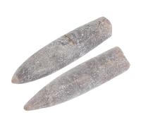 FIXOSHEE 2 Pièces Bélemnite Naturelle pour Éducation Géologie et Paléontologie Fossiles pour Décoration et Études Scientifiques
