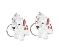 FIXOSHEE 2pièces Porte-clés pour Chien et Chat Souvenirs de Poils Animaux Breloques Commémoratives Forme de Clé pour Collection de Poils de Chien