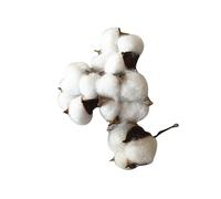 FIXOSHEE 5 pièces Branches de Coton Artificielles Réalistes Fleurs Séchées Décoratives pour et DIY Tiges et Naturelles pour Centre de Table ou Mur Décoratif
