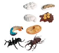 FIXOSHEE 8 pièces Modèle Insecte Ouvrière Réaliste Éducatif Cycle de Vie Garçon Fille Apprentissage Cognitif