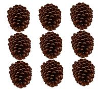 FIXOSHEE 9 pièces Pommes de Pin Naturelles Décoratives Grosses pour Décoration Noël Maison et Fêtes Accessoires de Création et Pendentifs DIY