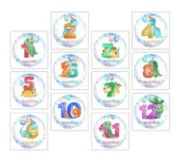 FIXOSHEE Autocollants Mensuels Bébé 12 Pcs en Papier pour Mémoriser Croissance Bébé, Accessoires Photo pour Fêtes d'anniversaire et Photos Souvenirs