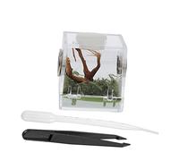 FIXOSHEE Boîte Reptile Transparent Acrylique avec Ventilation Caisse Délevage et Nourrissage pour Petits Reptiles et Araignées Durable et pour Habitat Domestique