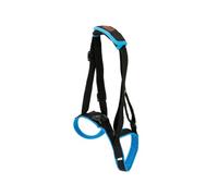 FIXOSHEE Ceinture Auxiliaire pour Chien Soutien Pattes Arrière Respirante en Mesh Léger Taille m Bleu Usage Mobilité Animaux Âgés Et Handicapés