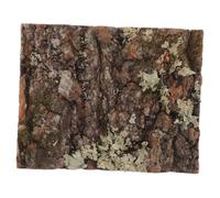 FIXOSHEE Cork Bark Naturel pour Décoration De Terrarium Et Aquarium Éléments De Fond Écorce pour Habitat Reptile