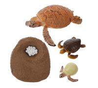 FIXOSHEE Figurine Tortue Cycle de Vie Éducatif pour Garçon Fille Modèle Réaliste Apprentissage Évolution Animale Décoratif