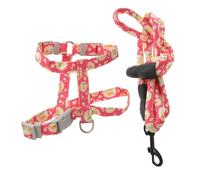 FIXOSHEE Harnais et Laisse Ajustables pour Chat Système Anti-Fugue pour Promenades Plein Air