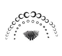 FIXOSHEE Kit D'étirement Oreilles Punk Boucles D’oreilles Plugs en Acrylique Noir Ensemble Corne de Bœuf Unisexe Usage Corps Piercing Taille Standard