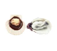 FIXOSHEE Lot de 2 Modèles de Fruits de Mer Artificiels Réalistes, Huîtres et Coquilles Saint- en Plastique, Décoration Alimentaire pour Table, Accessoires Photo et Jouets Cuisine