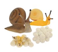 FIXOSHEE Modèle Éducatif Cycle de Vie Escargot Figurines Réalistes Plastique Pédagogique pour Garçon Fille de Sciences Naturelles