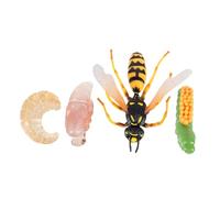 FIXOSHEE Modèle Éducatif Réaliste Cycle de Vie Guêpe Jeu Garçon Fille Cognition Apprentissage Nature