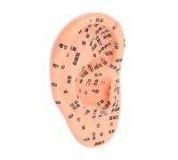 FIXOSHEE Modèle Oreille PVC pour Acupuncture et Massage avec Points Réflexes Détaillés Outil Pédagogique pour École Acupuncture et Soins Auriculaires Couleur Chocolat