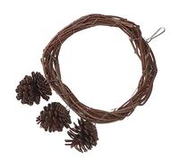 FIXOSHEE Perroquet Escalade Suspendu Rotin Naturel avec Anneau Tressé Support Balançoire Durable pour Petits Oiseaux Perchoir pour Développement et Coordination