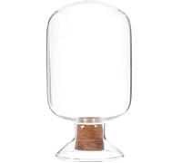 FIXOSHEE Porte-Bocal en Verre Transparent 125 ML Bouchon Liège pour Stockage Allumettes et Utilisation Décorative