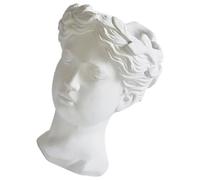 FIXOSHEE Pot de Fleurs Tête de Déesse Résine Jardinière Décorative Sculptée Style Antique pour Intérieur et Extérieur Vase Original pour et Plantes Ornement Artistique pour Maison et