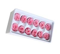 FIXOSHEE Roses Éternelles Stabilisées 12 Pièces pour Décoration Mariage et Création Bouquets DIY, Tiges 3-4 CM, Couleur Rose Clair, Présent Saint-Valentin