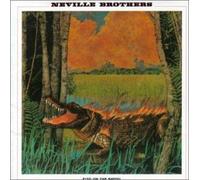 Fiyo on The Bayou [Import]