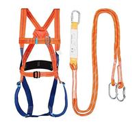 FIYSON Kit de protection anti-chute avec harnais, 5 points de sécurité Protection, Avec 2 points de connexion + 2m sangle Lanyard+soutien lombaire + Double crochet, pour Corde de Sauvetage (Style 2)