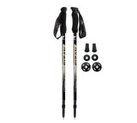 Fizan Compact Poles Argenté 59-132 cm