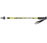 Fizan Trek - Bâtons de randonnée Enfant - Junior Multicolore 2015