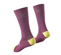 Fizik Chaussettes Team Edition