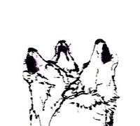 FJAAK - WOLVES/PRAY FOR BERLIN VINYL LP SINGLE NEUF