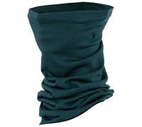 Fjällräven Abisko Lite Neck Warmer Bleu Homme