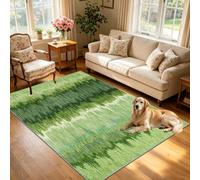 Fjhaeuo Tapis de Salon Grand Tapis pour Chambre 90 x 120 cm | Lavable en Machine Antidérapant Tapis pour Cuisine, Salle à Manger, Bureau et Chambre d'enfants