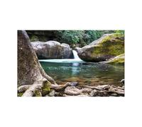 FJOADNVM Fond Aquarium Autocollant décoratif for Fond d'aquarium, Affiche décorative, Papier Peint Autocollant for décoration(54x122cm)