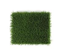FJOADNVM Gazon Synthetique Exterieur 2 pièces 25X30cm Simulation pelouse Mariage Faux Gazon Terrain de Football Herbe extérieure Artificielle en Plastique clôture Artificiel(15mm)