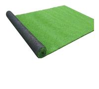 FJOADNVM Gazon Synthetique Exterieur Rouleau de Tapis Gazon Artificiel, décoration Maison, Patio, Jardin, terrasse, Simulation Fausse pelouse, Plante Verte(1Mx1M)