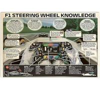 FJQWKLF Panneau métallique « F1 Steering Wheel Knowledge » pour pilotes de course, infographie, affiches scientifiques, décoration murale pour la maison, le club, 30,5 x 40,6 cm