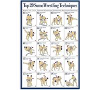 FJQWKLF Plaque en métal avec infographie sur les connaissances du sumo, 20 meilleures techniques de lutte sumo, affiches, décoration murale pour la maison, le club, la salle de sport, 30,5 x 40,6 cm