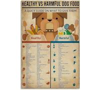 FJQWKLF Plaque métallique « Connaissances sur la nourriture pour chiens » : contre les aliments nocifs pour chiens, animalerie, restaurant, café, cuisine, art de la maison, 20,3 x 30,5 cm