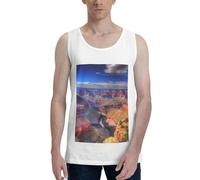 FJWSLCH Beauty Grand Canyon Débardeur pour homme, coupe classique, sans manches, chemise de sport à séchage rapide, t-shirt d'été, Blanc, 3XL