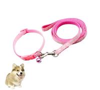 fKiZanthene Lot de 2 colliers et laisse réglables pour petit chien avec laisse de 120 cm pour la marche, le dressage, les voyages Rose