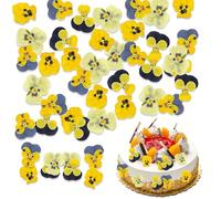 fKiZanthene Lot de 40 fleurs de pensées pressées - Fleurs séchées tricolores pour bricolage et décoration de gâteaux pour la maison