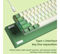 FKRTQIYN Conception compacte Universal Wired Mechanical Keyboard Hot-Swappable pour Les carnets et Les interrupteurs Rouges et Bruns de Bureau(White and Green Set)